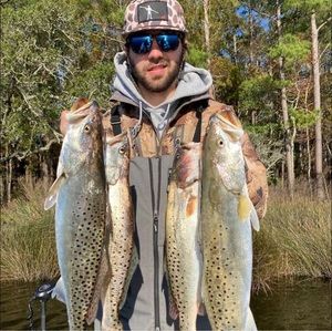 Meet your Posher, Ben